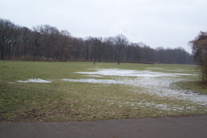 P0003254